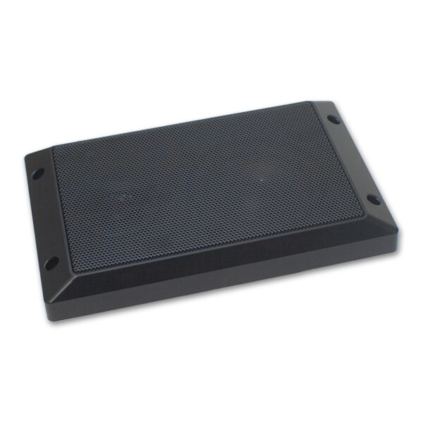 Speaker