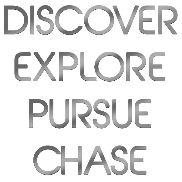 Model Name Logo Decal - Choice of EXPLORE, PURSUE, CHASE, DISCOVER